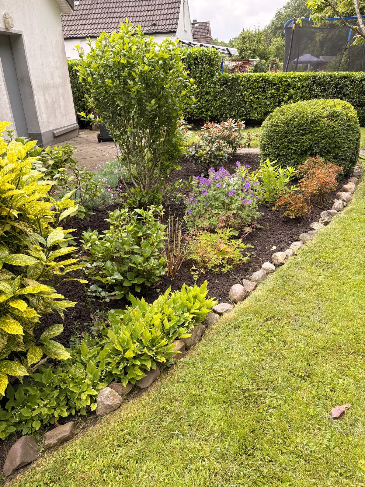 Gepflegter Garten mit frisch gemähtem Rasen und geschnittener Hecke